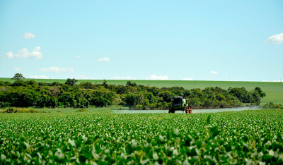 Pesticidas são amplamente utilizados em culturas brasileiras que são exportadas para a Europa, como a soja - Bruno Kelly/Greenpeace.