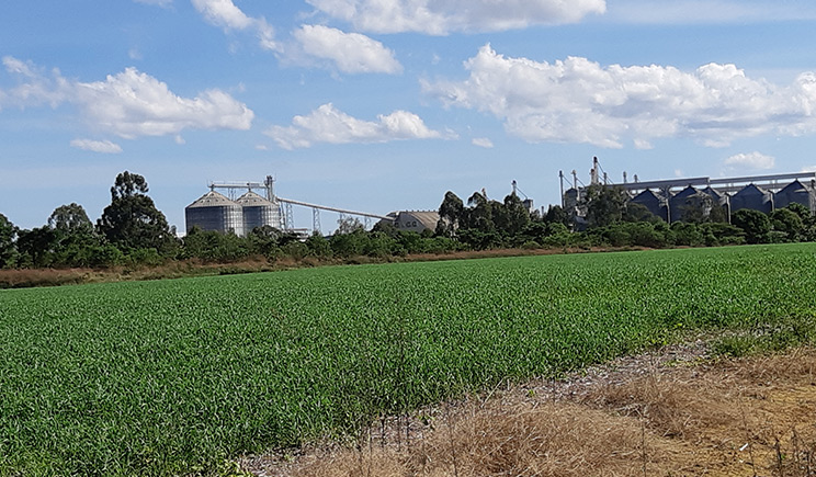 agro01